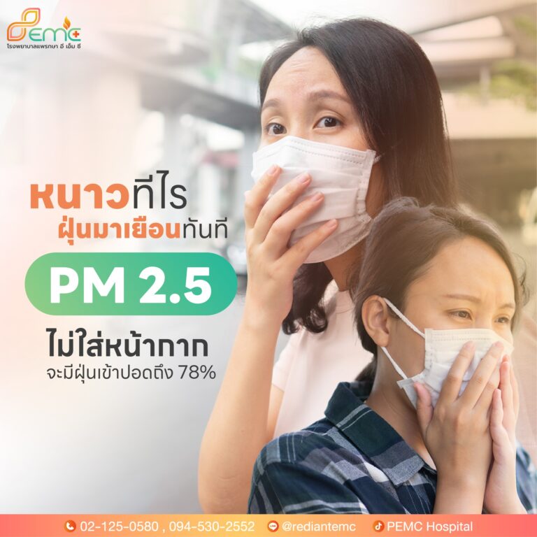 PM 2.5