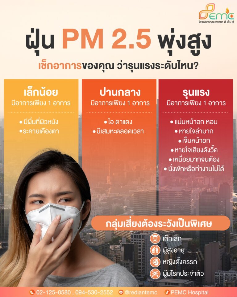 PM 2.5