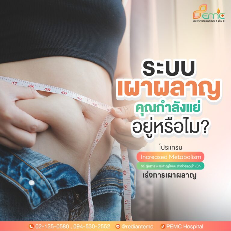 ระบบเผาผลาญ