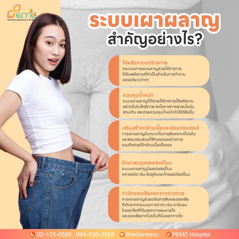 ระบบเผาผลาญ