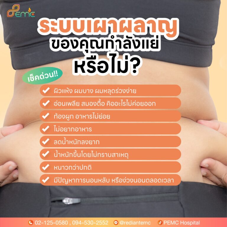 ระบบเผาผลาญ