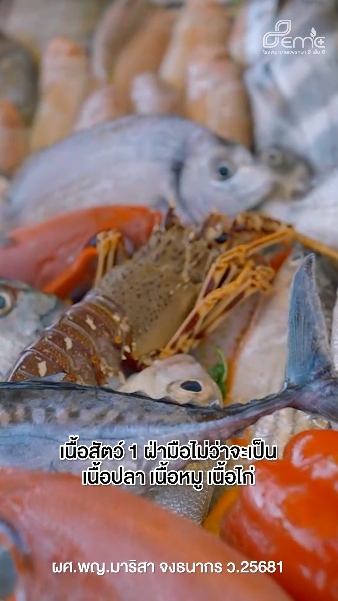 กินโปรตีนเยอะ