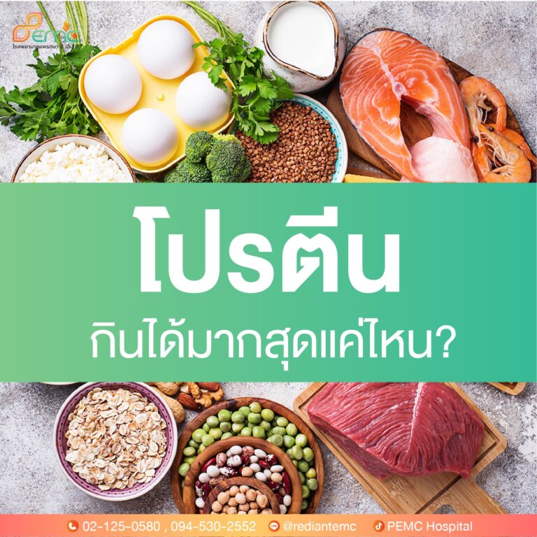 โปรตีน