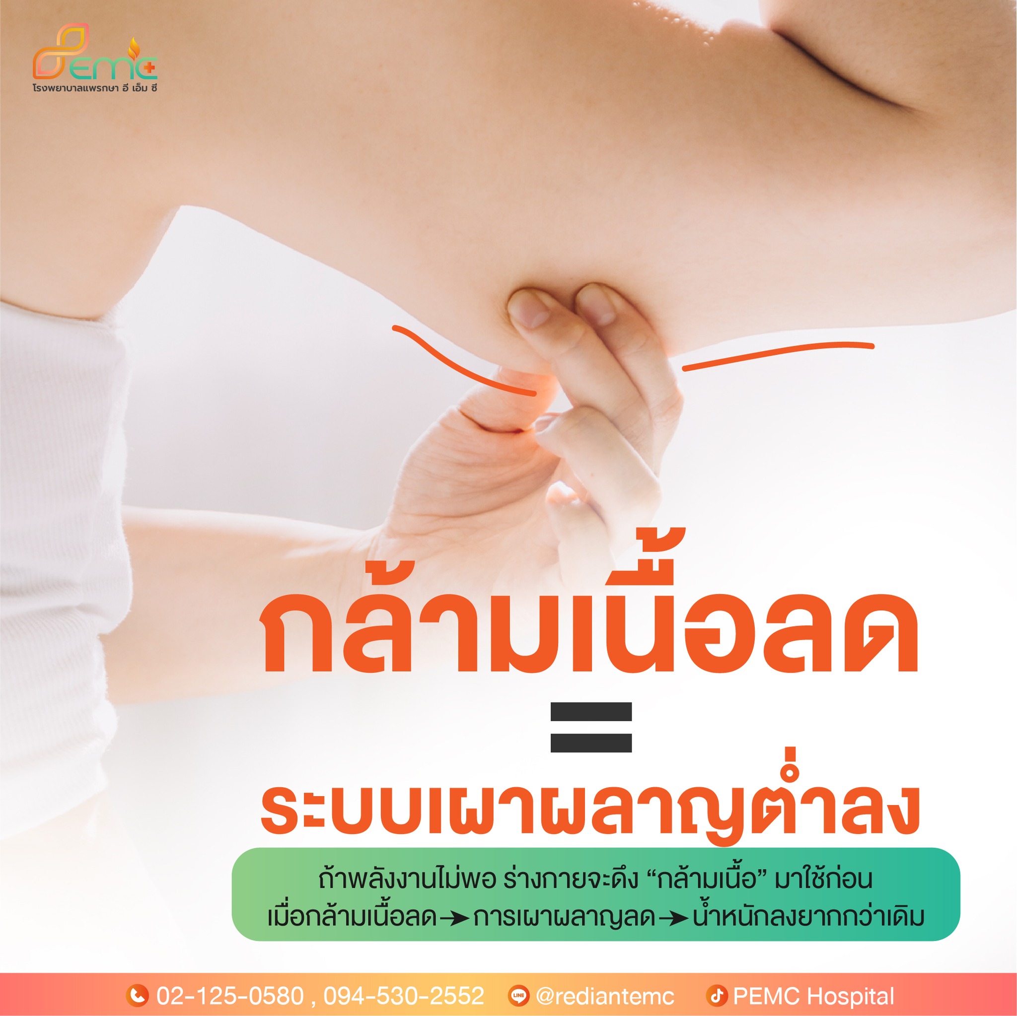 ล้ามเนื้อลด