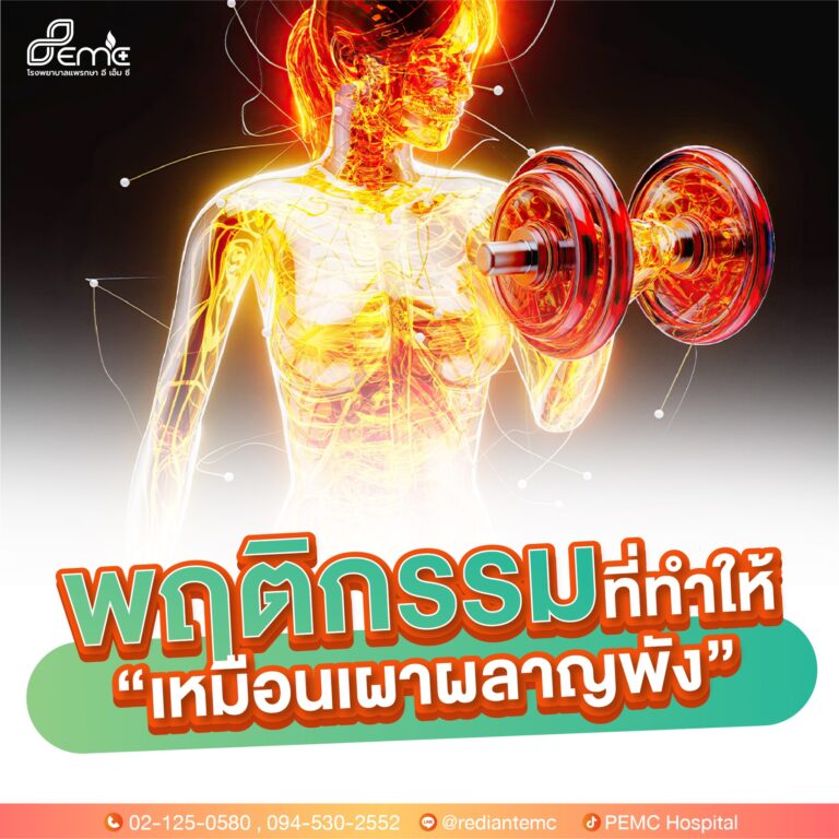 ระบบเผาผลาญพัง