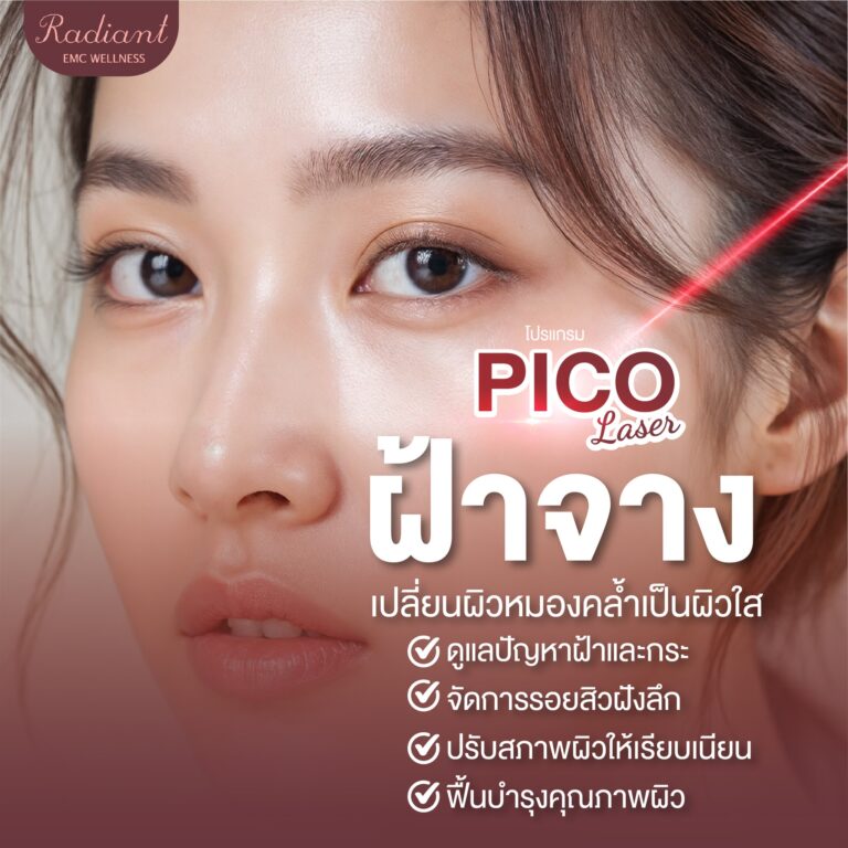 โปรแกรม Pico Laser