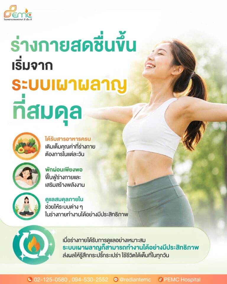 ระบบเผาผลาญ