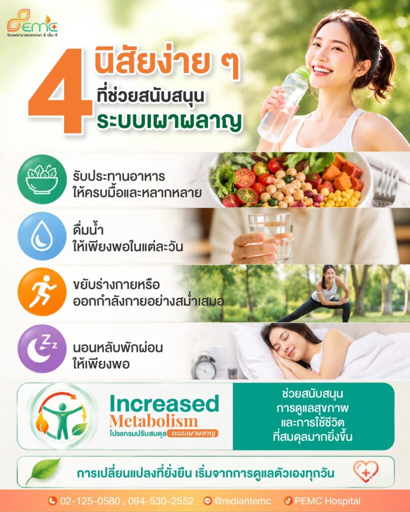ระบบเผาผลาญ