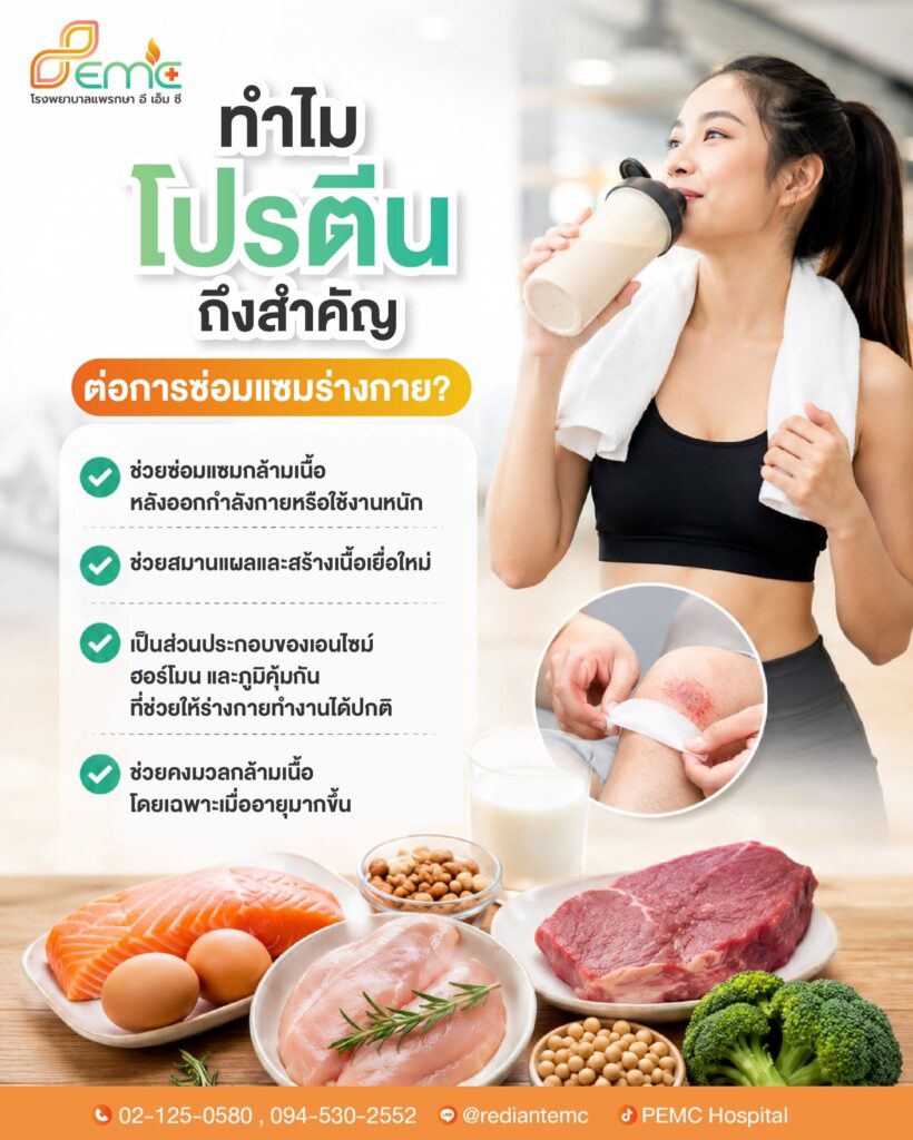 โปรตีน