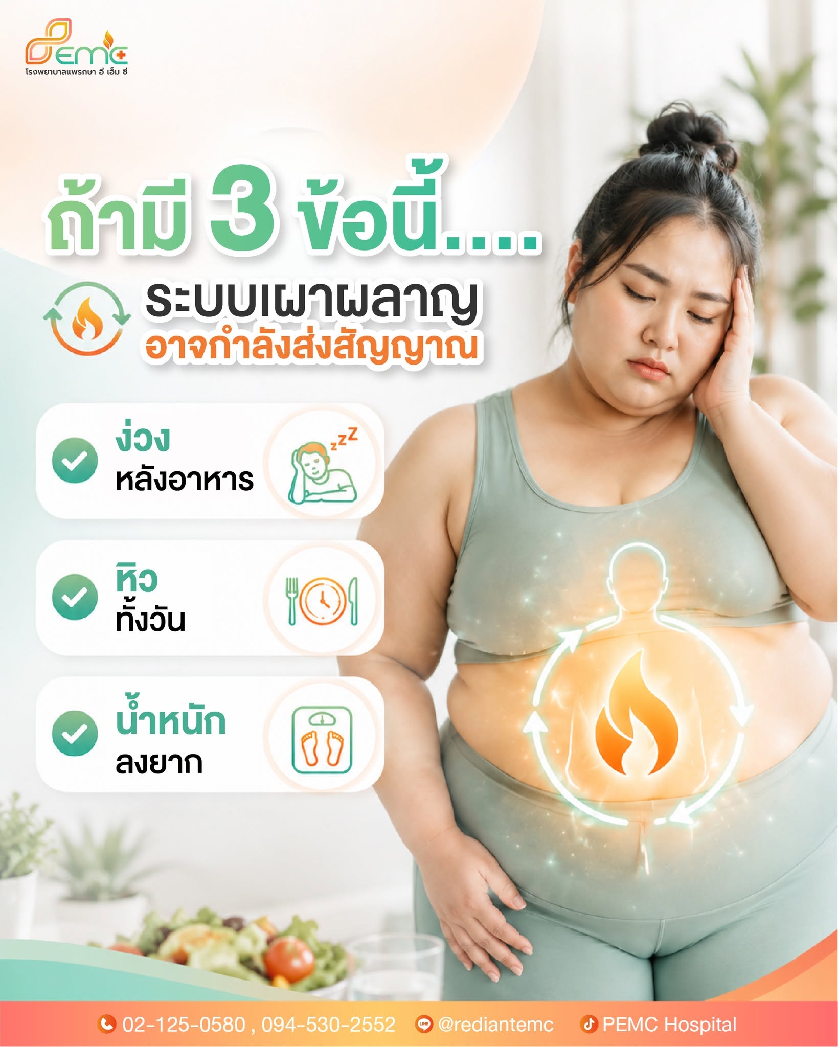 ระบบเผาผลาญ