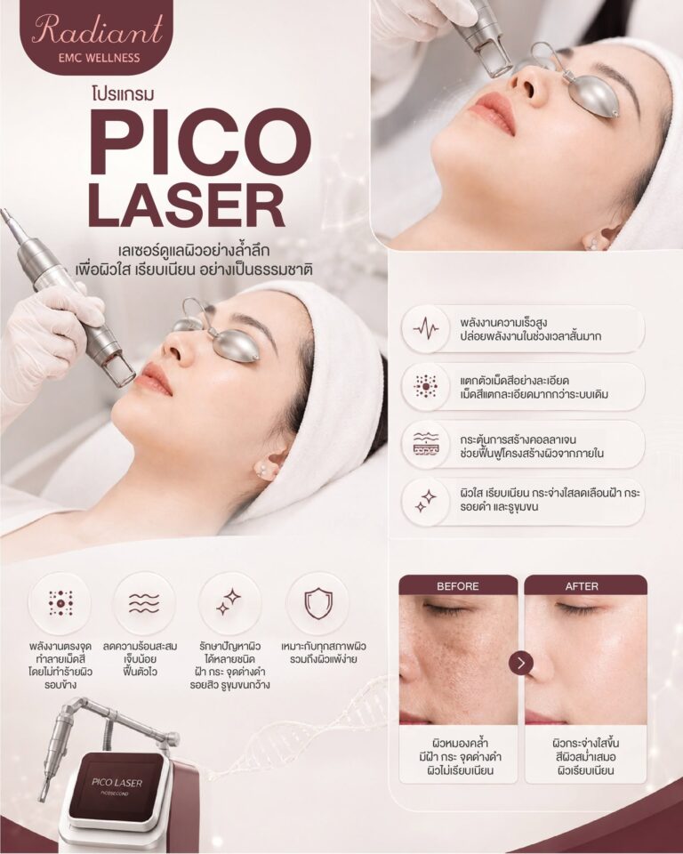 โปรแกรม PICO Laser
