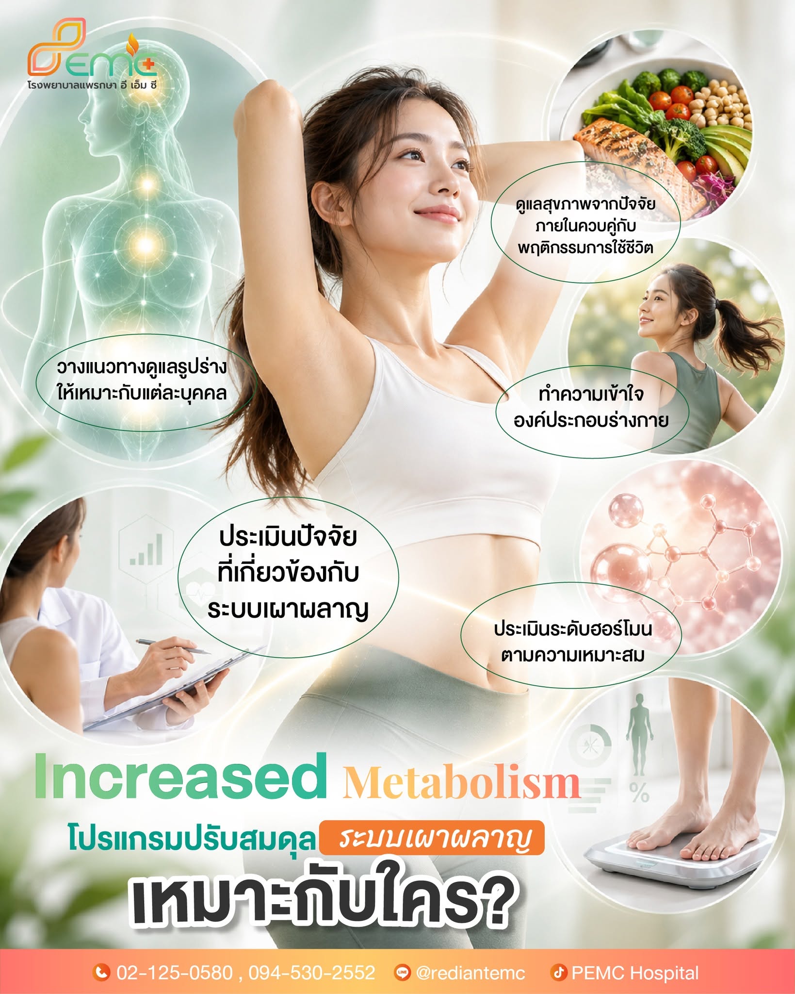 ระบบเผาผลาญ