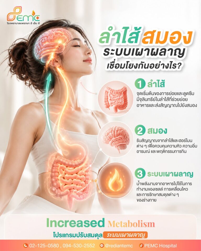 ระบบเผาผลาญ